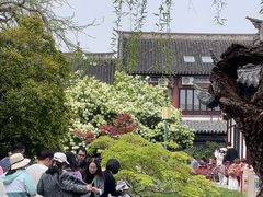 -常熟方塔园