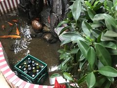 -天发长铁锅炖(王秀村店)