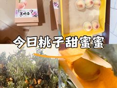 -老袁家蜜桃农场·阳山水蜜桃