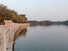 -海珠湖公园