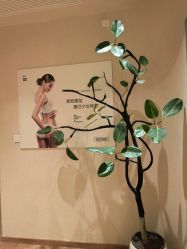 -美丽妈妈产后恢复中心(南桥旗舰店)