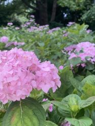 -翱翔飞越地平线