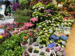 -双季花艺园艺市场(浦东店)