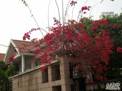 -东风公园