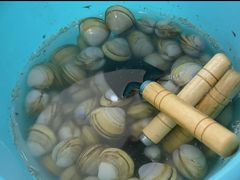 -启东黄金海滩景区