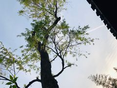 -个园