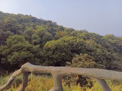 -梧桐山风景名胜区