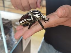 -燕莎友谊商城(亮马桥店)
