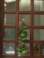 -娇玫荟SPA