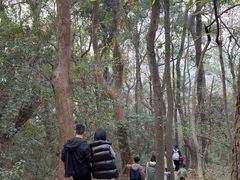 -九曜山