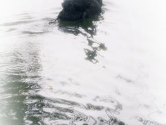 -浙江农林大学(东湖校区)