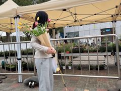 -上海鲜花港