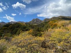 -玉渡山自然风景区