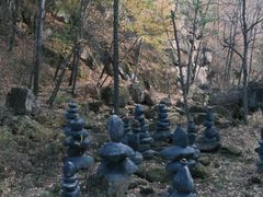 -茅兰沟国家森林公园