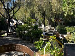 -蓝壁虎咖啡酒馆