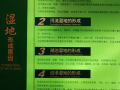 -中国湿地博物馆
