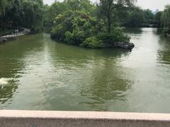-济南大明湖景区