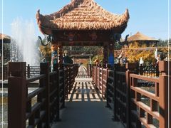 -呀路古热带植物园