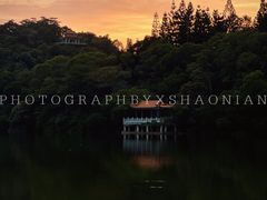 -深圳仙湖植物园