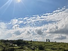 -芦芽山旅游度假区