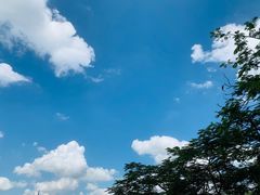 -东莞植物园