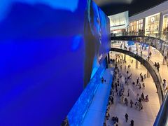 -迪拜水族馆及水下动物园