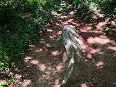 -南京金牛湖风景区