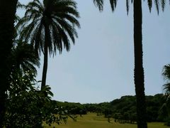 android_upload_pic-鹅銮鼻公园