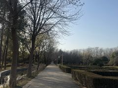 -洛阳市隋唐城遗址植物园