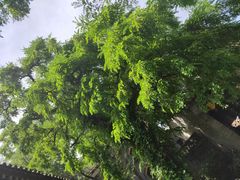 -湘子庙