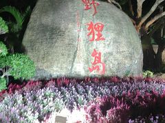 -野狸岛