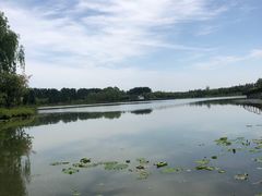 景点-东郊湿地公园
