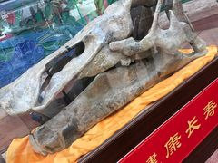 -诸城市恐龙博物馆