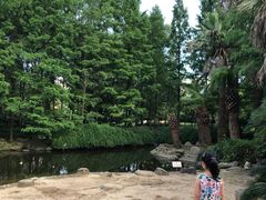 -苏州河梦清园环保主题公园