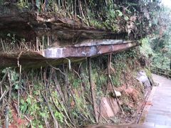 -鸡毛店·川菜(双楠店)