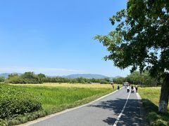 -良渚古城遗址公园