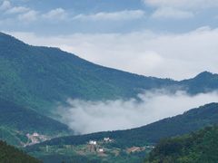 -武陵山森林公园