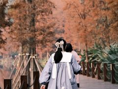 -重庆彩云湖湿地公园