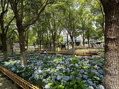 -上海吴淞炮台湾国家湿地公园