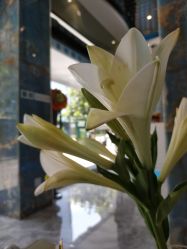 -清颜专业祛痘连锁店