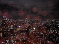 -东京都厅舍