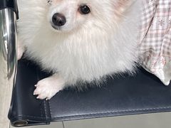 -怪兽屋·羊驼·猫咖·狗咖(俊华广场店)