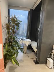 -BELLAREAL新美社