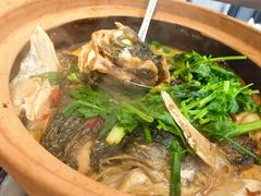 -九道菜有鸡鱼头(石鼓路店)