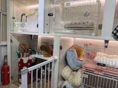 -e嘉宠物店(北大街店)