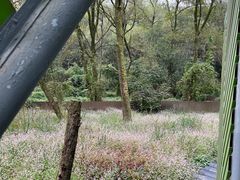 -西湖风景区-江洋畈生态公园