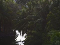 -三亚海棠湾万丽度假酒店