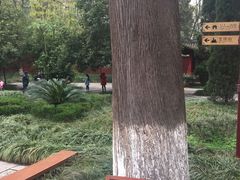 -武侯墓风景区