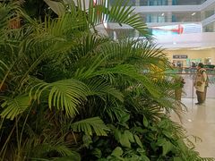 -中国人民解放军总医院