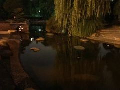 -花溪公园